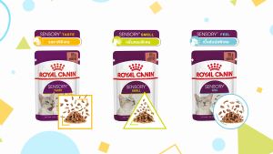 Pate ROYAL CANIN 85g FREE SHIP TRỌN BỘ 30 vị