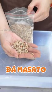 Túi 1Kg - Đá Masato - Size 3-6mm | Độc quyền Family Garden