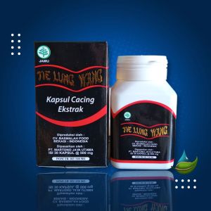 Kapsul typus Obat cina tradisional Extract cacing