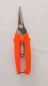 กรรไกรตัดกิ่ง ยาว 7"   ขึ้นสนิมนิดหน่อย ไม่มีผลต่อการใช้งาน   *ใช้งานได้ปกติ  กดดูในวิดีโอได้เลย