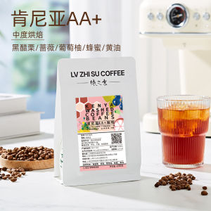 Premium Single Origin Coffee Beans Hand Pour Rich Flavor No Acid Black Currant American Italian Style Coffee Beans for Drip Coffee Maker