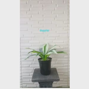 Tanaman Hias Daun Pandan Bali X12 Plastik Artificial Pot Effiel Hitam Pajangan Dekorasi Ruangan