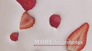 ALOR Signature Freeze Dried Fruits & Yogurts 15g | 100% Real Fruits