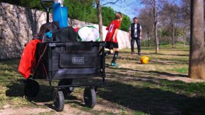 Black and Decker Utility Wagon Collapsible / Folding Wagon BDCWBK01