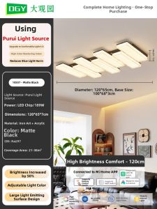 DGY | Italian Minimalist Luxurious Designer Eye-Protective Ceiling Light
