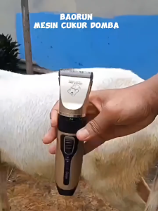 BaoRun K5 Hitam + Mata Pisau Cukur Alat Cukur Bulu Hewan Kambing Domba Garut Elektrik Tanpa Kabel