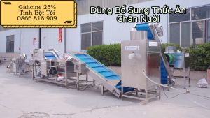 Bột Tỏi Garlicin 25% Bổ Sung Thức Ăn Chăn Nuôi Chứa Allicin Giúp Khỏe Ruột - Ngừa Viêm Ruột Tôm Cá