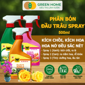 Bộ 3 Phân Bón Lá Đầu Trâu Spray 1 2 3 Greenhome Bình Điền Chai 500ml Cao Cấp Chuyên Cho Hoa Kiểng