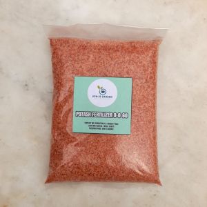 POTASH FERTILIZER 0-0-60 (1 Kilo - 2 Kilo) FOR PLANTS
