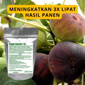 Pupuk Booster Tin Pelebat Organik Cepat Berbuah Lebat Besar Anti Rontok Pembesar Tin