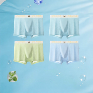 MiiOW | Youth Ice Silk Briefs for Teen Boys