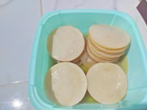 kombucha premium scooby