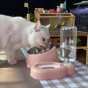 ชามดื่มแมวอัตโนมัติ ชามอาหารแมว ชามน้ำสำหรับสัตว์เลี้ยง ชามอาหารแมว ชามอาหารแมวขนาดใหญ่