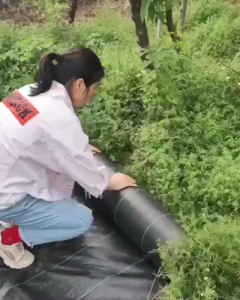 50/100M Weed Control Barrier Fabric Weeding Cloth Black Degradable Film Weed Block Gardening Mat