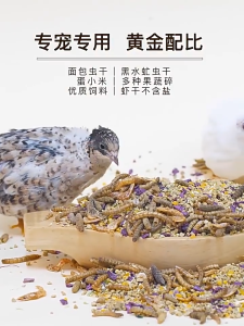 Premium Quail Feed | Adult Formula (1KG) & Chick Starter (1KG) | High Protein Crumbles with Egg Yolk Mealworms Vegetables | Healthy Growth & Egg Boost