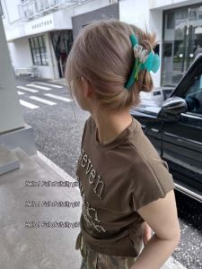 Live a Good Life and Meet Slowly ~ Acetic Acid Flower Hair Clip Korean Simple Jelly Color Updo Shark Clip Hair Accessories