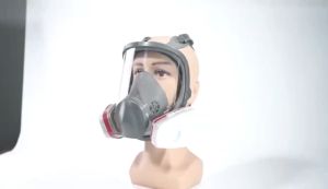 Gas Mask Dust Chemical Spray Paint Industrial Protection Filter Breathing Full Face Mask Respirator
