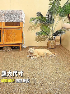 Lược ghim chải lông cho thú cưng có nút bấm - Tiêm Mèo Moa