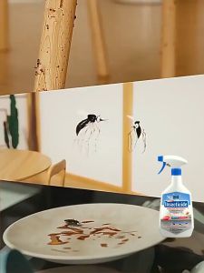 Bugs & Insects Repellent Spray 500ml 杀虫剂  Pest Control for Cockroaches Mosquitoes & Flies 除害虫灭蟑螂