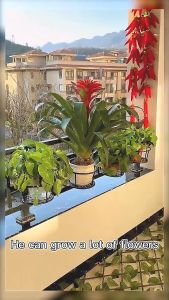 RakanKu MALAYSIA 22cm Balcony Plant Hanging Basket Flower Pot Holder Hanger Fence Planters Assemble Outdoor Plant Baskets Rak Pasu 花盆架