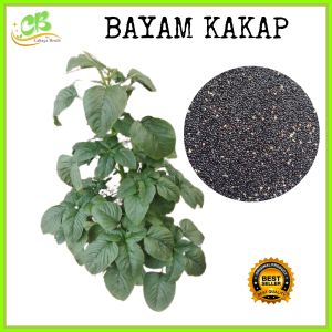 Benih biji bayam kakap isi (5000 butir) bibit bayam