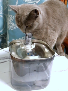 🔥🔥🔥Pet Drinking Dispenser Motion Sensor Cat Fountain Running Water Drinker For Cat Dog Automatic Filter