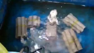 YAMANO WP 3600 - Pompa Air Celup Kolam Ikan Aquarium Aquascape WP3600