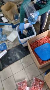 Bayer Racumin Wax Block 1KG Racun Tikus Berkesan - Sesuai untuk Kilang Perladangan & Kawasan Awam