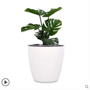 🇸🇬 Self-Watering Plant Pot / Plant Pot Large / Basic Plastic Flower Pots / Breathable Plant Pots / Lazy Planter Pots / Gardening Plants / large big plant pot