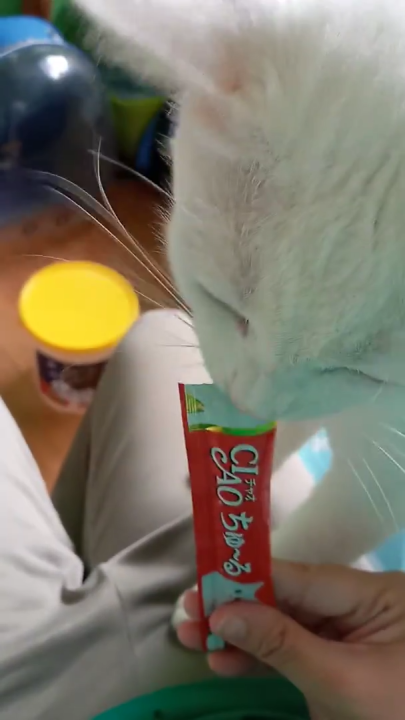 [NHẬP KHẨU THÁI - SÚP THƯỞNG] INABA CIAO CHURU Cho Mèo 😼Nhiều Vị Đủ Wow ...