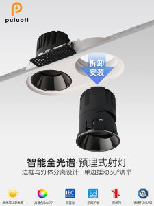 Prolight Smart Eye Protection Embedded LED Spotlight without Frame Double Headed Cob Concealed Anti-glare Lamp for Home Decor