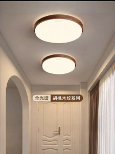 Changhong | Simple Modern Wooden Ceiling Light For Hallway Entrance Porch