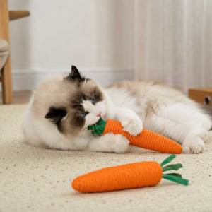 Teekland Cat Chew Toy Carrot for Teething and Claw Grinding Cats Chew Rope with Sounding Parcels Interactive Interactive Cats Teeth Cleaning Toy for Biting Chewing