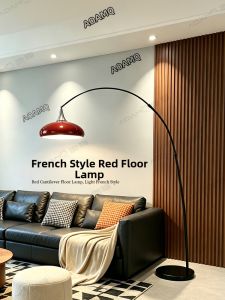 AOMAO | Aesthetic Decorative Floor Lamp