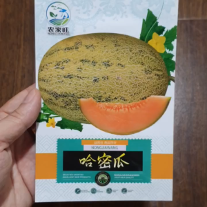 Hạt giống dưa lưới Tân Cương rằn ri siêu giòn ngọt Hoang My food and beauty