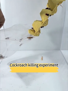 Cockroach Killer Bait Household kitchen Cockroach catcher bait Powder Cockroach Killing Bait Cockroach Gel Bait Cockroach Medicine Roach Killer cockroach Cockroach eliminator Pesticide Pest
