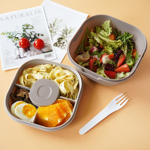 Large Capacity Salad Bowl with Sauce Box Double Layer Multi-Compartment Bento Box Non-BPA Microwave Safe Plastic Dinnerware