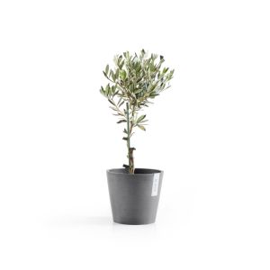 Ecopots Amsterdam 20