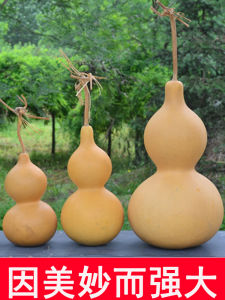 สิ่งของตกแต่งบ้านทรงสัตว์ปีกนกธรรมชาติขนาดใหญ่ วัสดุสิ่งของตกแต่งบ้าน วัสดุอื่นๆ ลวดลายปีกนก หัวแหลม