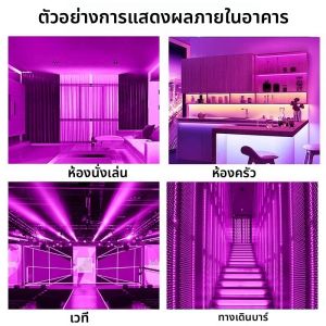 RUILUO | Self-adhesive Waterproof LED Strip Light 220V