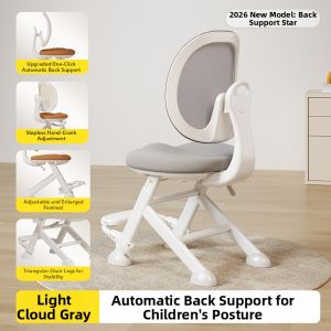 QINGJIE | Adjustable Spine Support Study Chair