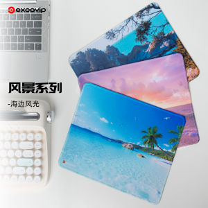 Phụ Kiện Máy Tính Xuất Xứ Trung Quốc Phong Cách Hoạt Hình Đồ Họa Dễ Thương Màn Hình Chuột Nhỏ Khóa Cạnh Màn Hình Bàn Phím Notebook Màn Hình Chuột Mềm Di Động