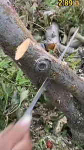 Gergaji Kayu: Alat Potong Kayu Ringan & Mudah Digunakan