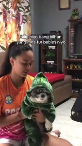 Pet Dog Clothes Dog Clothes Soft Cotton Hoodie Set Chihuahua Christmas Sweater Outfit Dinosaur Jacke