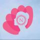 Ntrendshop