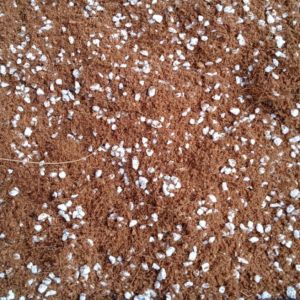 Cocolite Cocopeat with perlite premixed / Hydroponics Aquaponic Planting medium / Suitable for all kind of soil mixing