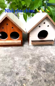 Tổ Chim Yến Phụng Sắc Nhật Bạc Má - Tổ Treo Trong Lồng Avi Lồng Nhỏ (2 Loại)