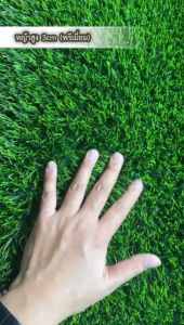 หญ้าเทียมยกม้วน เกรด A (กว้าง 2x ยาว 25 ) หญ้า 1-3 ชม 5 ชม มี ยกม้วน และ ตัดเป็นเมตร / หญ้าหนา ทนไฟ ระบายน้ำ ระบายอากาศ ใช้บนการภายนอก ขนาดเล็ก คุณภาพดี