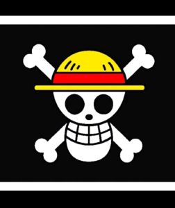 bendera onepiece