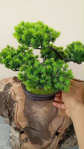 บอนไซเทียมต้นไม้พลาสติกเขียวขจี  ขนาด 33cm x 29cm